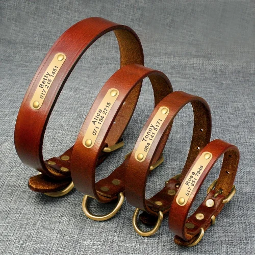 Personalized Dog ID Collar Genuine Leather Small Medium Dogs Cat Collar