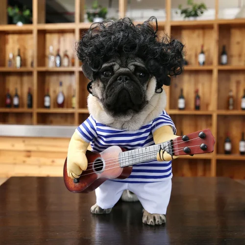Guitar Playing Costume