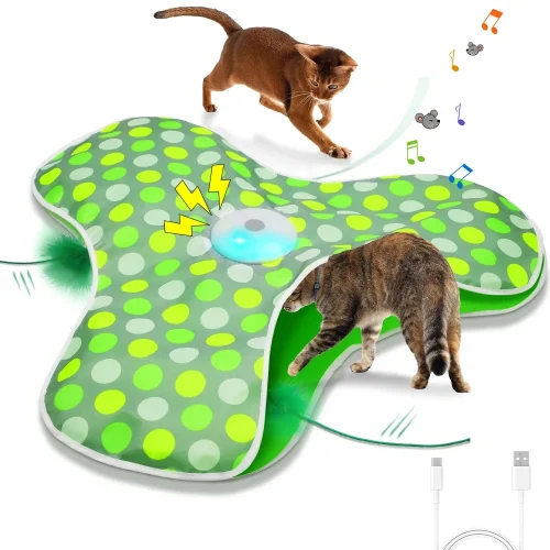 Cat Toys Interactive Hide and Seek With Mouse