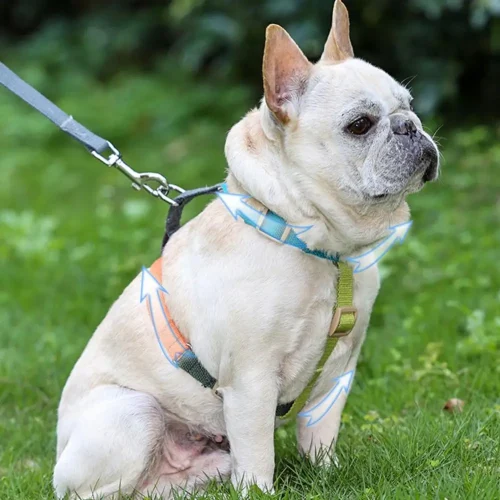 Quick Release Adjustable Dog Harness Vest