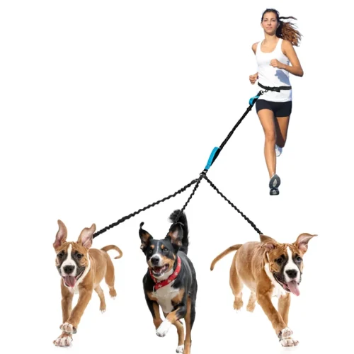 Three Dog Leash Hands-free for Running and Walking