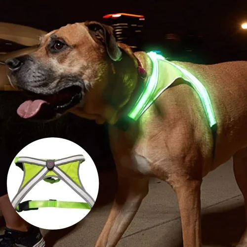Adjustable LED Light Up Dog Harness