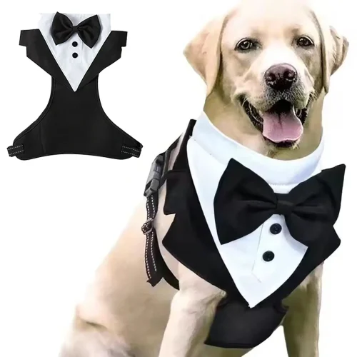 Gentleman Dog Clothes Wedding Party